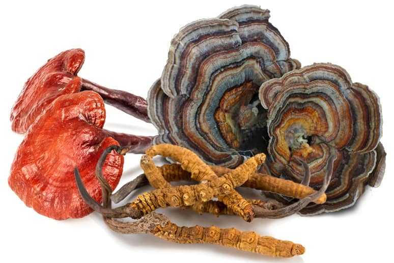 Assorted Mushrooms
