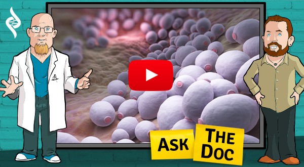 Fermented Foods and Recurring Issues with Intestinal Yeast