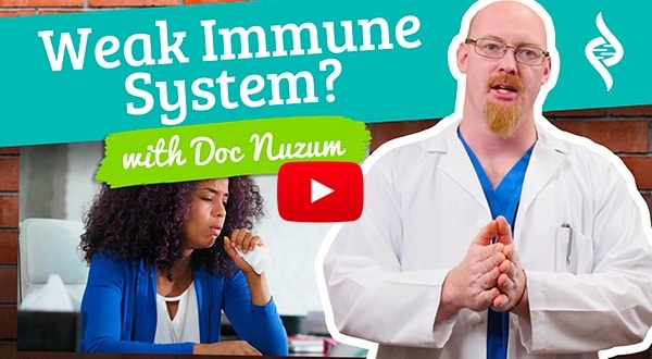 4 signs of a weak immune system with dr. Daniel nuzum