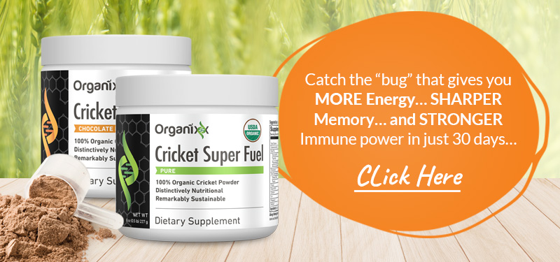 Catch the Bug See the Hype around Organixx Cricket Super Fuel