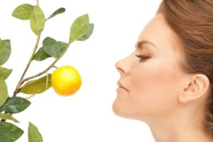 What Are Antioxidants and Why Do You Need Them