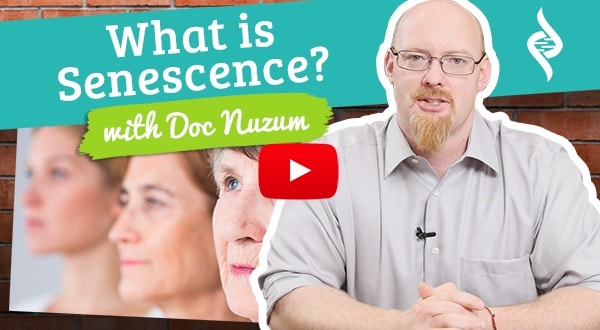 What is Senescence Doc Talks with Dr. Daniel Nuzum
