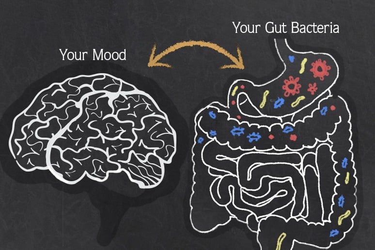 Your Mood and Your Guy Illustration