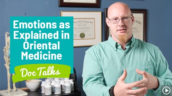 Emotions As Explained in Oriental Medicine Doc Talks with Dr. Daniel Nuzum