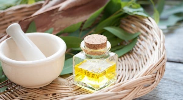 Eucalyptus Vile on a wicker basket