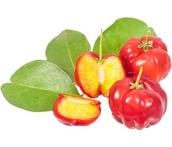 Exotic Superfruits such as acerola cherries are key ingredients in EpiGreens