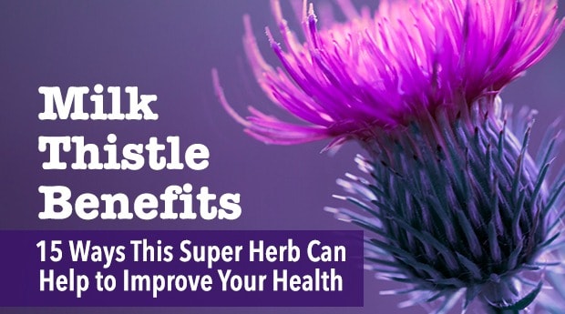 15 ways milk thistle can improve your health
