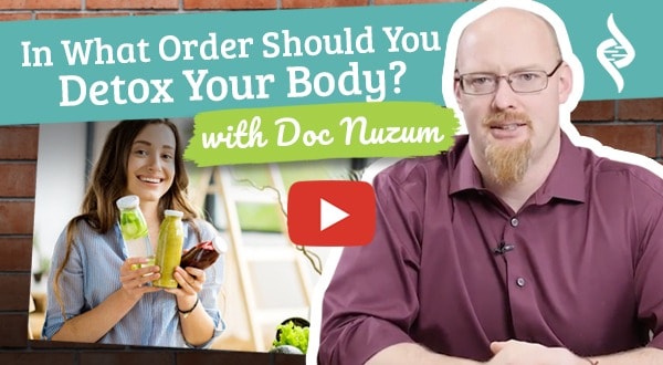 In What Order Should You Detox Your Body?