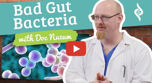 bad gut bacteria