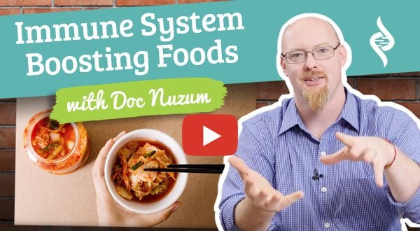 Immune System Boosting Foods - "Doc Talks" with Doctor Daniel Nuzum