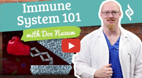 Immune System 101 doc talks