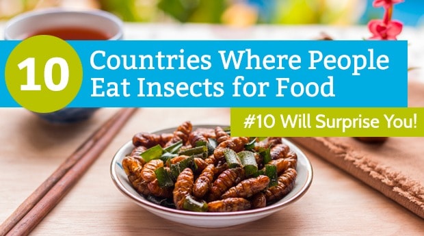 10 countries eating insects featured image
