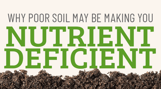 Why Poor Soil is Making Nutrient Deficient