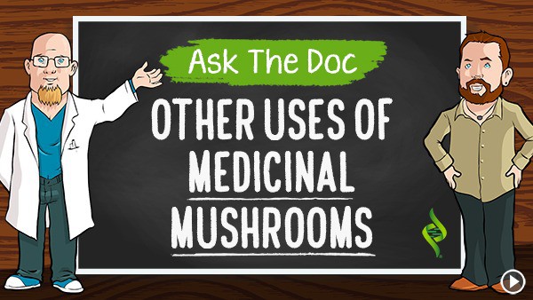 Other Uses of Medicinal Mushrooms "Ask the Doc" with Dr. Daniel Nuzum
