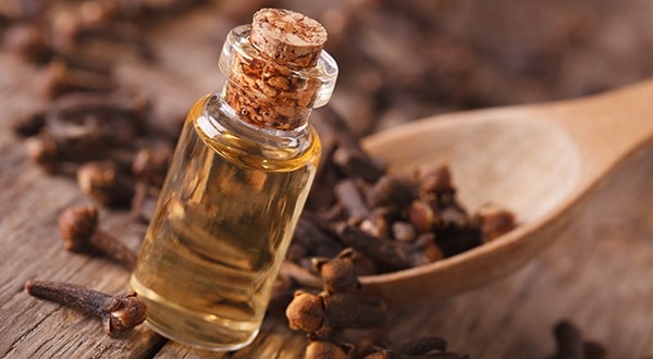 Clove oil in a bottle close-up on the table. horizontal, rustic style