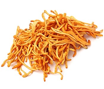 cordyceps mushrooms for inflammation