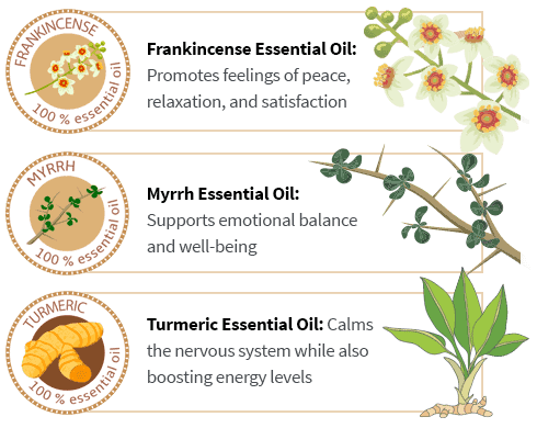 Magi ingredients